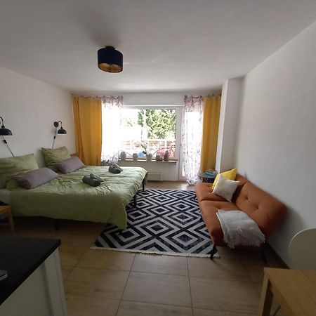 Gemuetliche Koelsche Studio-Wohnung Keulen Buitenkant foto